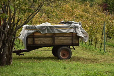 Side view of vehicle in vineyard