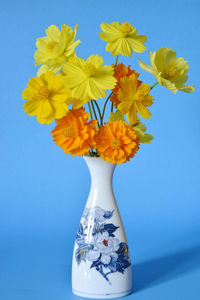 Close-up of yellow flowers in vase