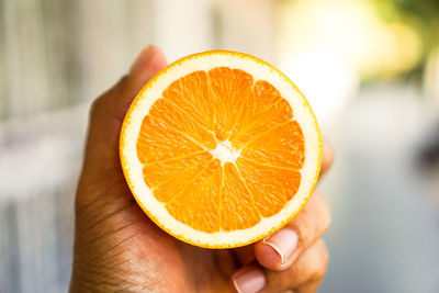 Close-up of hand holding fruit