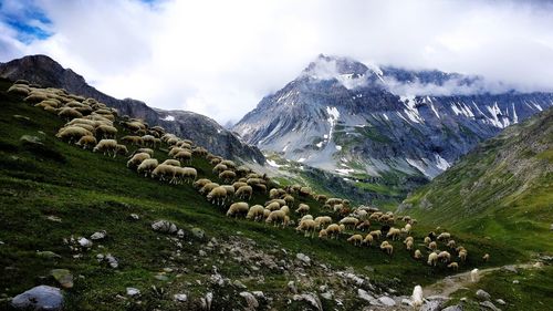 Scenic view of snowcapped mountains against sky