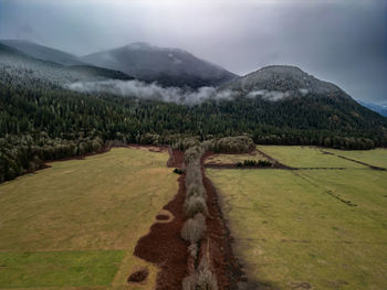 environment