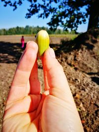 Close-up of hand holding fruit