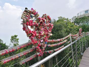 Close-up of flower tree by footbridge in city against sky