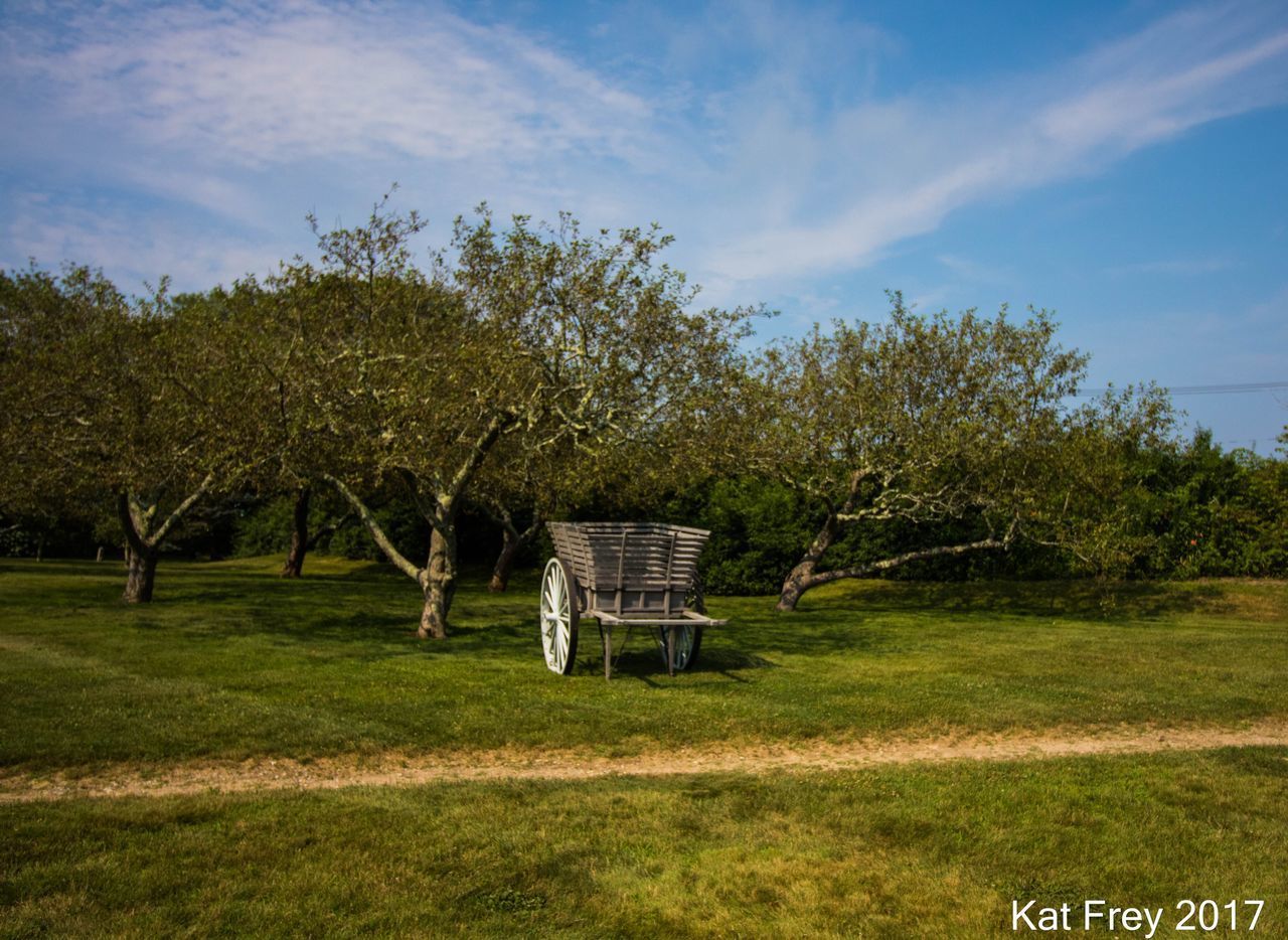 GAZEBO ON FIELD AGAINST SKY