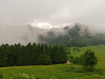 Scenic view of landscape against sky