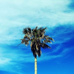 Low angle view of tree against sky