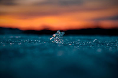 Close-up of ice crystals against sky during sunset