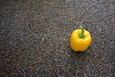 Close-up high angle view of yellow sweet bell pepper against brown textured background