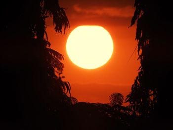 Low angle view of silhouette trees against sky during sunset