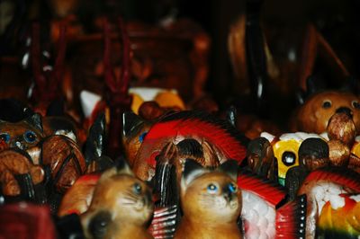 Close-up of birds in market for sale