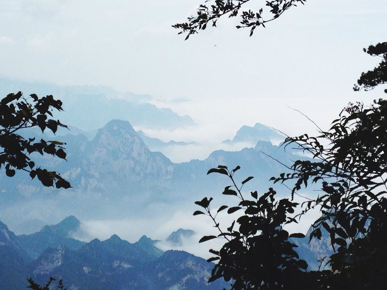 mountain, mountain range, tranquil scene, scenics, tranquility, beauty in nature, tree, sky, nature, landscape, idyllic, non-urban scene, snowcapped mountain, cloud - sky, majestic, no people, mountain peak, outdoors, day, branch