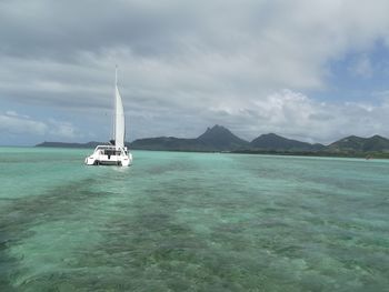 Sailboat sailing in sea