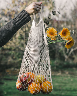 Cropped hand of woman holding fruits in bag against trees