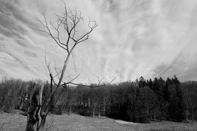 Bare trees on field against cloudy sky