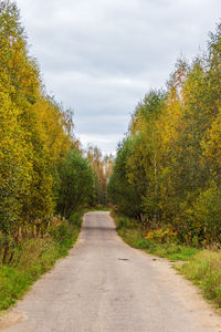 Road amidst trees against sky