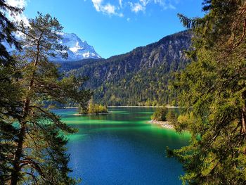 Scenic view of lake by trees against blue sky