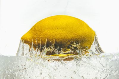 Close-up of fruit over white background