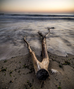 Close-up of driftwood in sea against sky