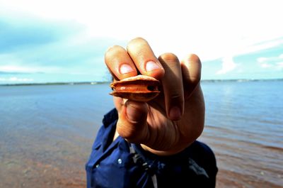 Cropped image of hand holding clam at beach against sky