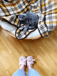 Feet of a person wearing slippers at home and a sleeping cat 