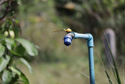 Close-up of drone