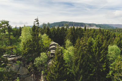 Plants growing on landscape against sky