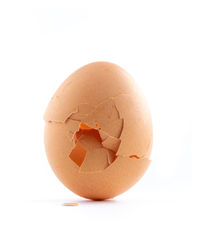 Close-up of broken egg against white background