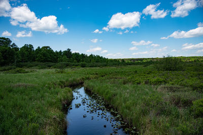 Scenic view of field against sky