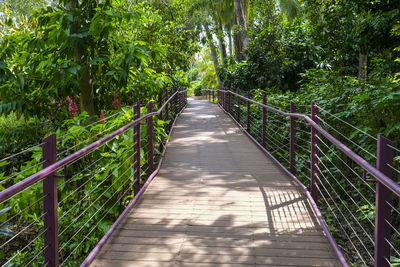 View of footbridge in forest