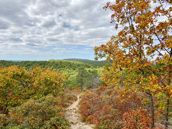 Scenic view of landscape against sky during autumn