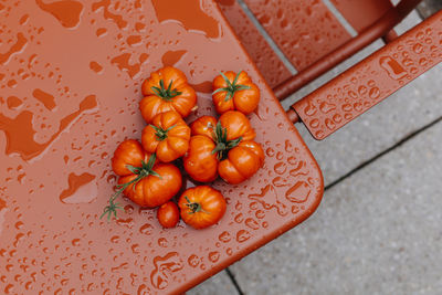 High angle view of freshly harvested tomatoes on a red table after the rain