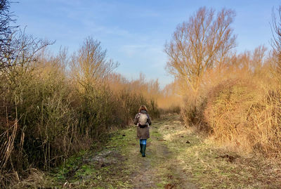 Rear view of man walking on field against sky