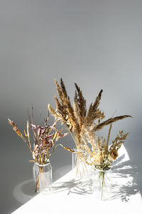 Dried flowers bouquets in plastic bottles to reduce waste. aesthetic, eco friendly home decor.