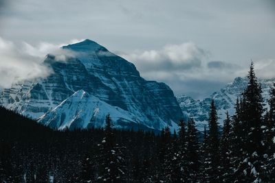 Scenic view of trees by snowcapped mountains against sky