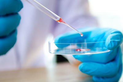 Close-up of hand holding petri dish