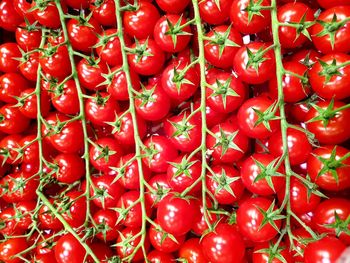 Full frame shot of red fruits