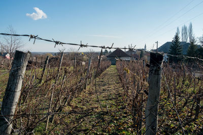 View of barbed wire against sky