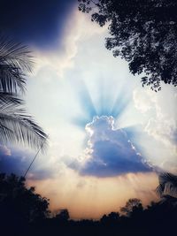 Low angle view of silhouette palm trees against sky