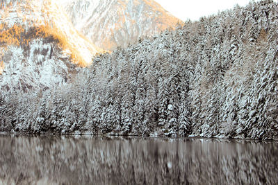 Scenic view of snow covered land and lake