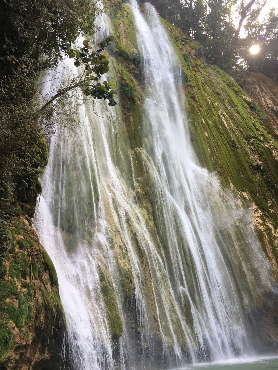 SCENIC VIEW OF WATERFALL AGAINST TREES