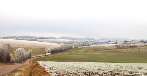 Scenic view of landscape against sky