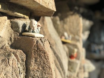 Close-up of statue against rock