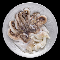 Fresh raw octopus in metal plate isolated on black background, square ratio, top view
