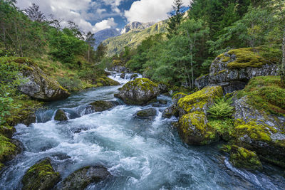 Scenic view of stream flowing through rocks