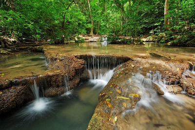 Waterfall in forest