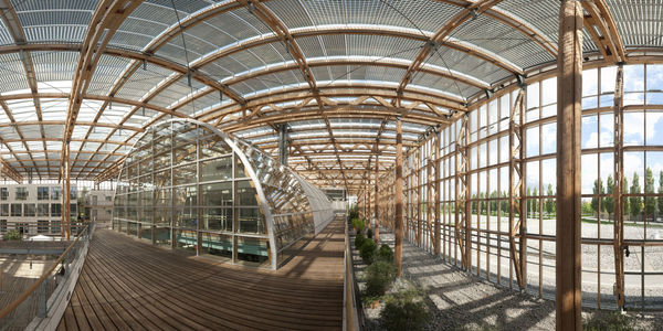 Glass shell supported by timber framework and spruce trunks encloses individual buildings