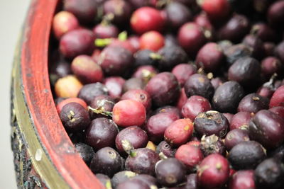 High angle view of cherries in bowl