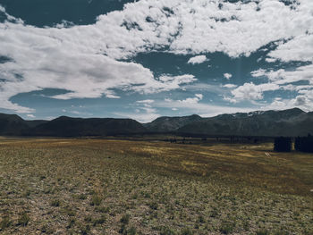 Scenic view of field against sky