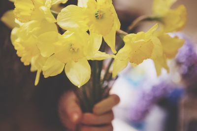 Close-up of yellow flowers