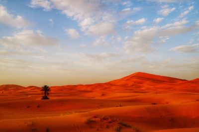 Scenic view of desert against sky